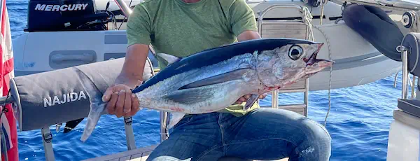 Poisson pêché à bord du voilier Najida en Grèce